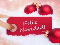 ¡ Feliz Navidad !