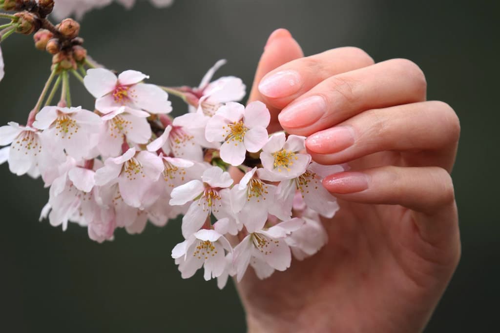 Pasos a realizar en una manicura japonesa profesional